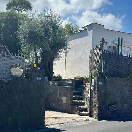Silvio * Ischia