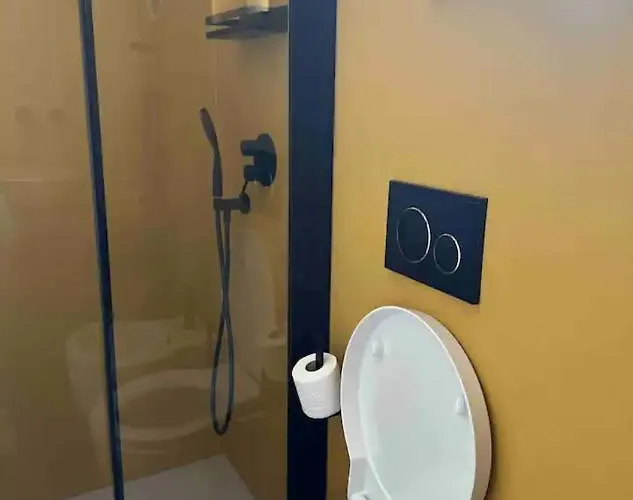 Silvio Ischia * ラッコ・アメーノ