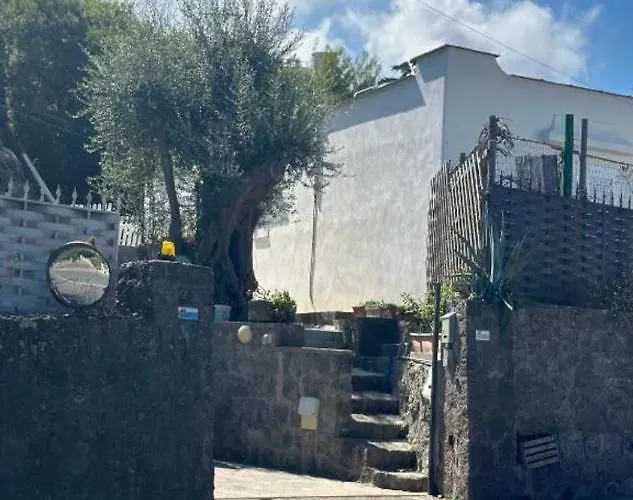 Silvio Ischia * ラッコ・アメーノ